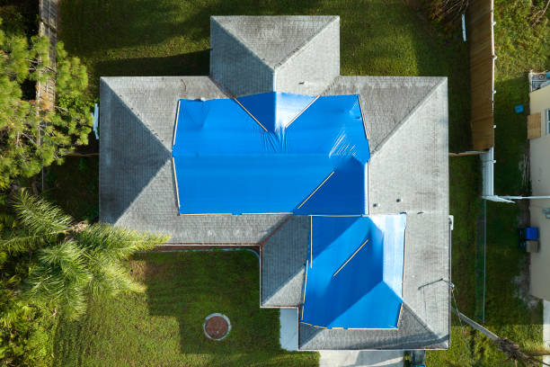Best Asphalt Shingle Roofing  in Rock Creek, MN