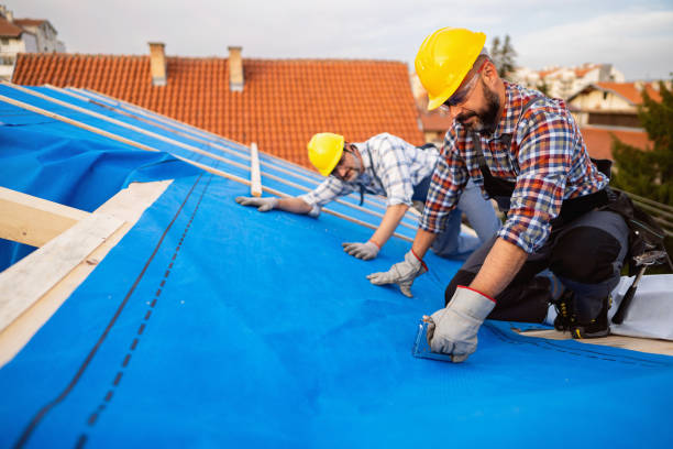Best Metal Roofing Installation  in Rock Creek, MN